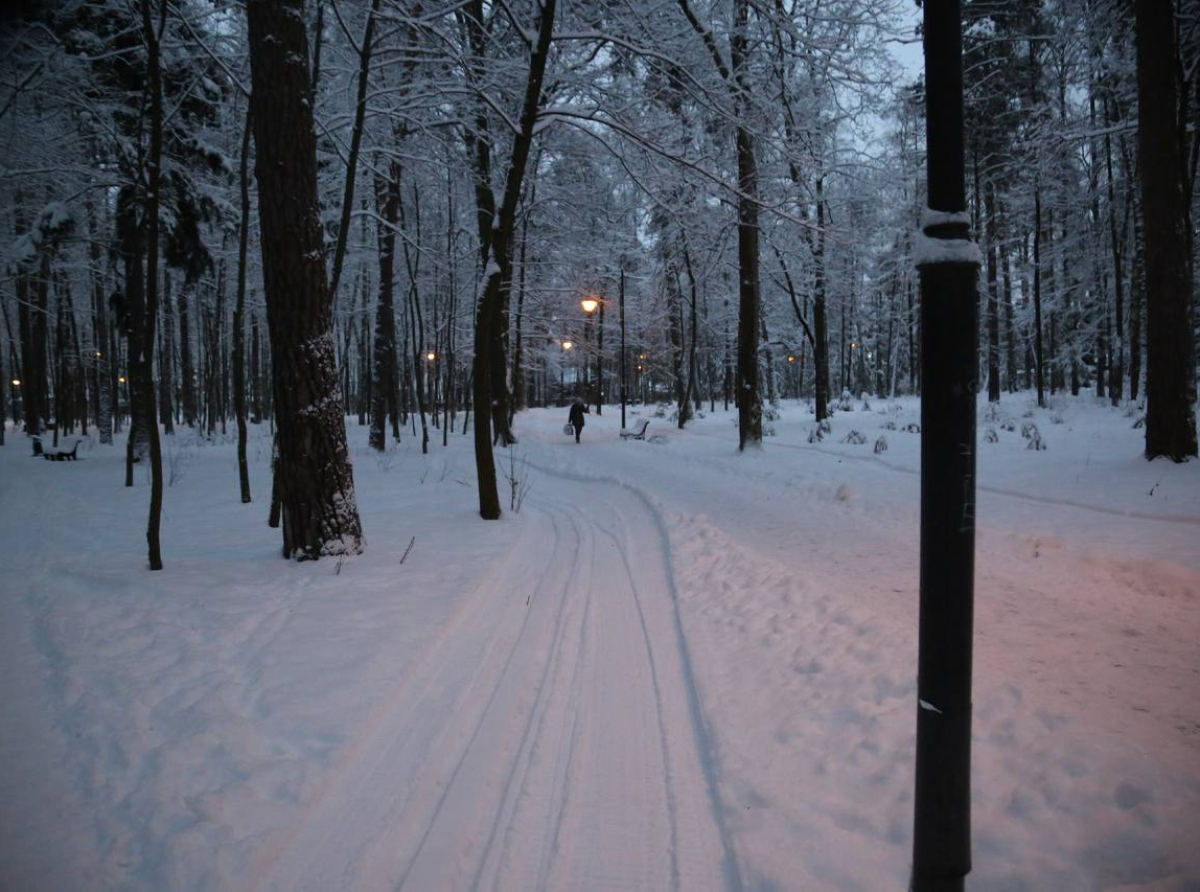 Десять бесплатных лыжных трасс появятся в Люберецком округе