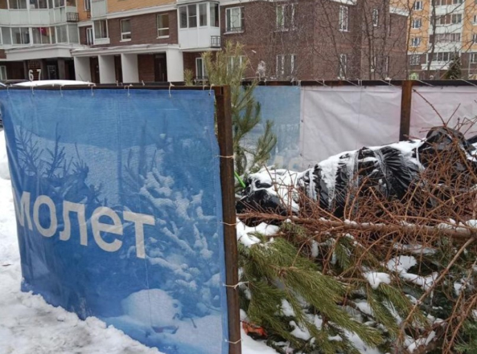Завершилась акция «Подари своей елке вторую жизнь» в городском округе Люберцы 