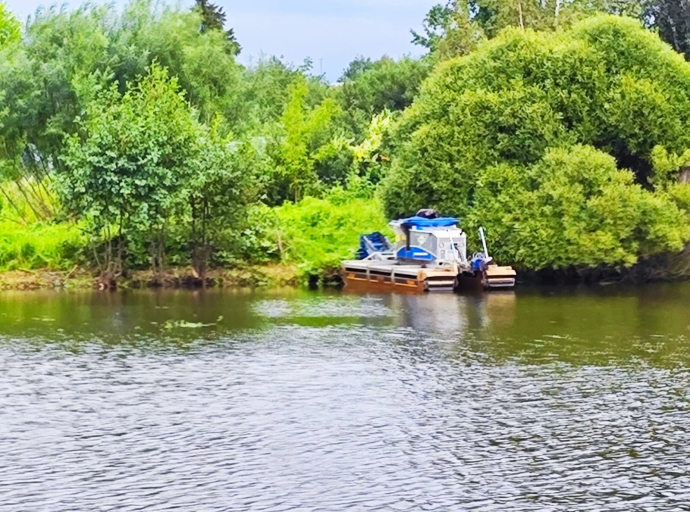 Очистку пруда в Токарево завершат 20 августа