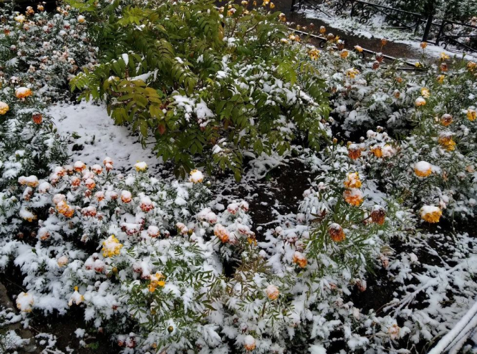 Первый снег в Люберцах выпадет уже в ближайший вторник 