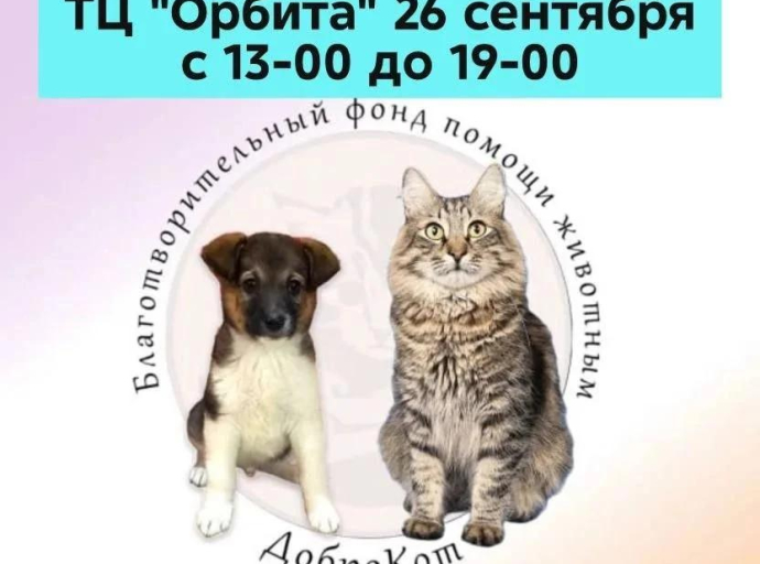 Выставка-пристройство животных из приютов пройдет в Люберцах