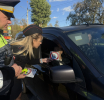 Двух водителей в Люберцах привлекли к ответственности за нарушение правил перевозки детей